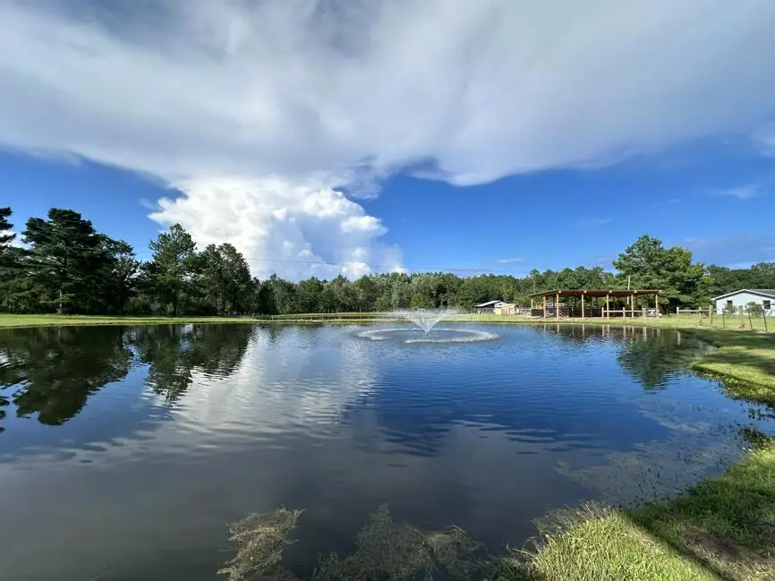 144 Harlan Davis Rd, Lumberton, MS 39455 - #2