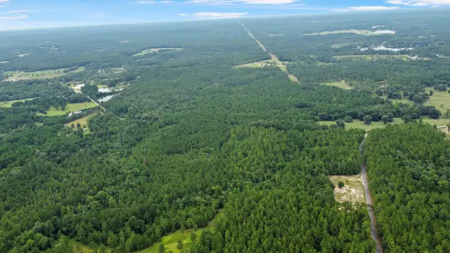 NHN Silver Run-Progress Rd, Perkinston, MS 39573 - #3