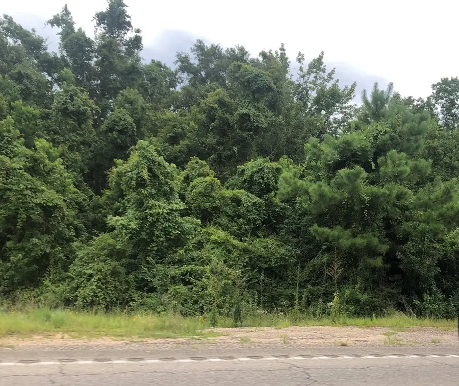 NHN Cedar Grove Ave, Picayune, MS 39466 - #2