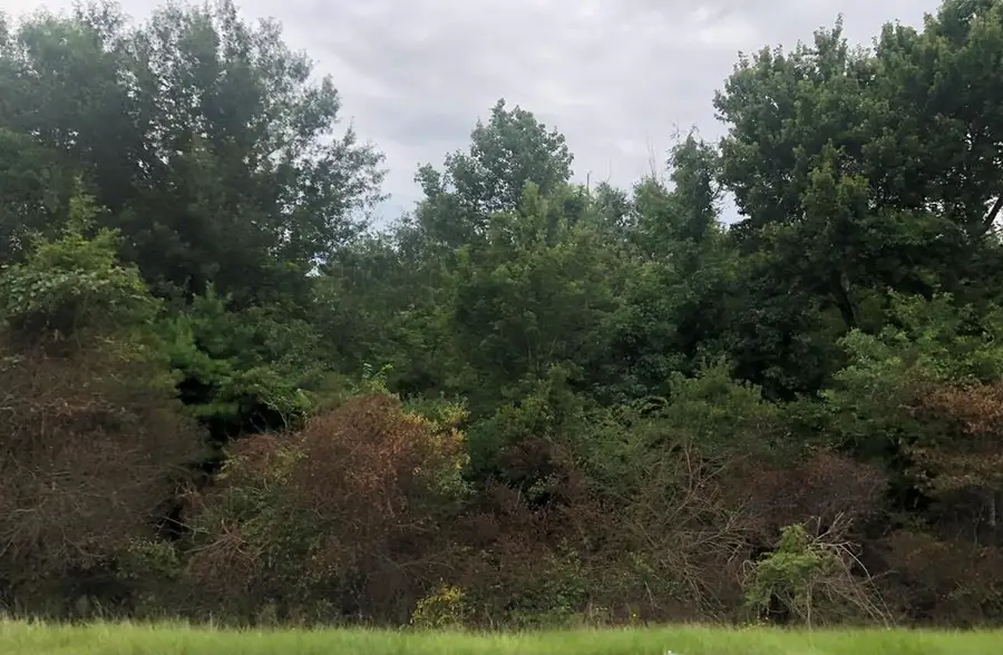 NHN Cedar Grove Ave, Picayune, MS 39466 - #3