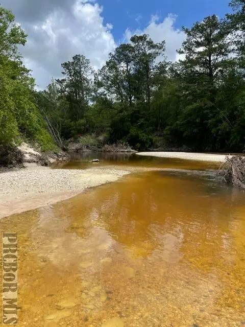 0 Four Feathers Ranch Road, Poplarville, MS 39470