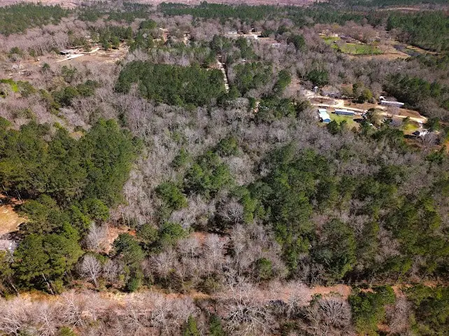 Lot 2 Benjamin Lane, Poplarville, MS 39470 - #3