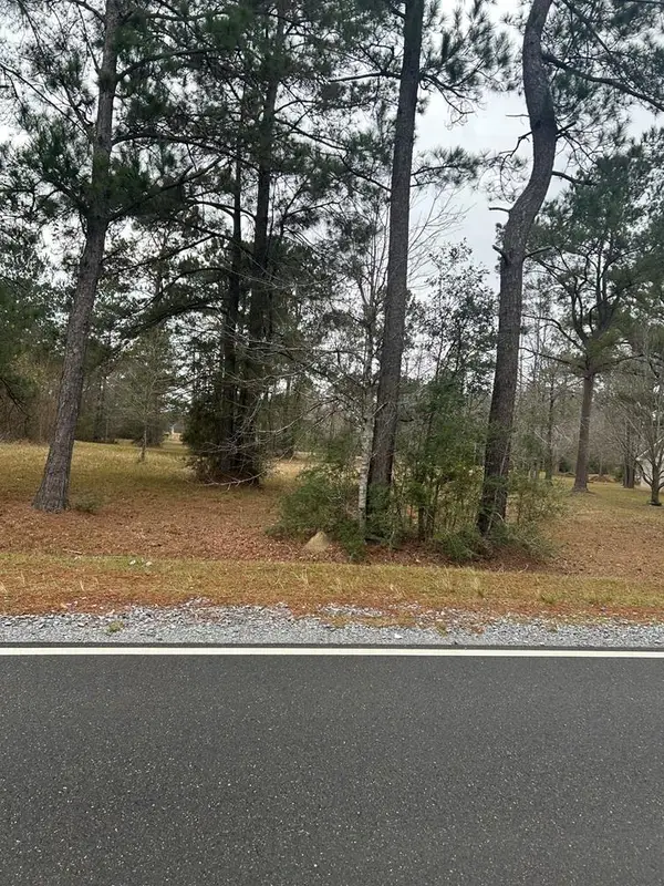 Lot 19 George Wise Rd, Carriere, MS 39426