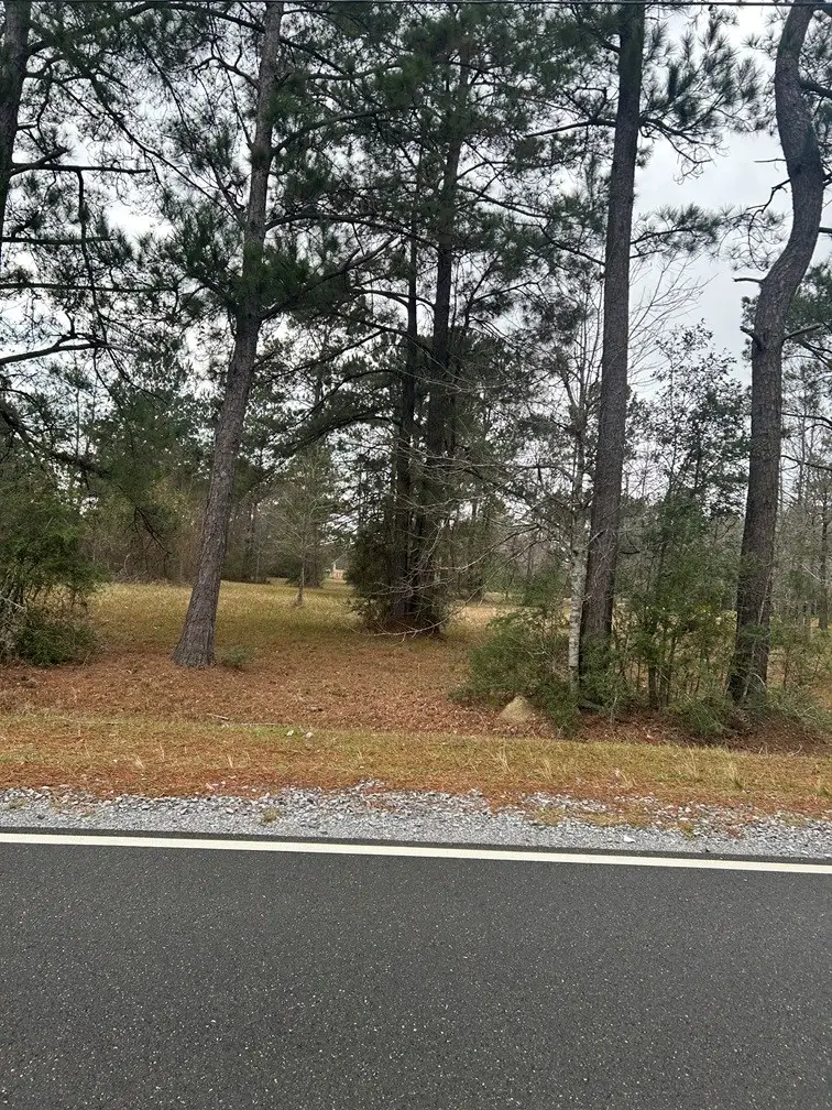 Lot 19 George Wise Rd, Carriere, MS 39426 - #3