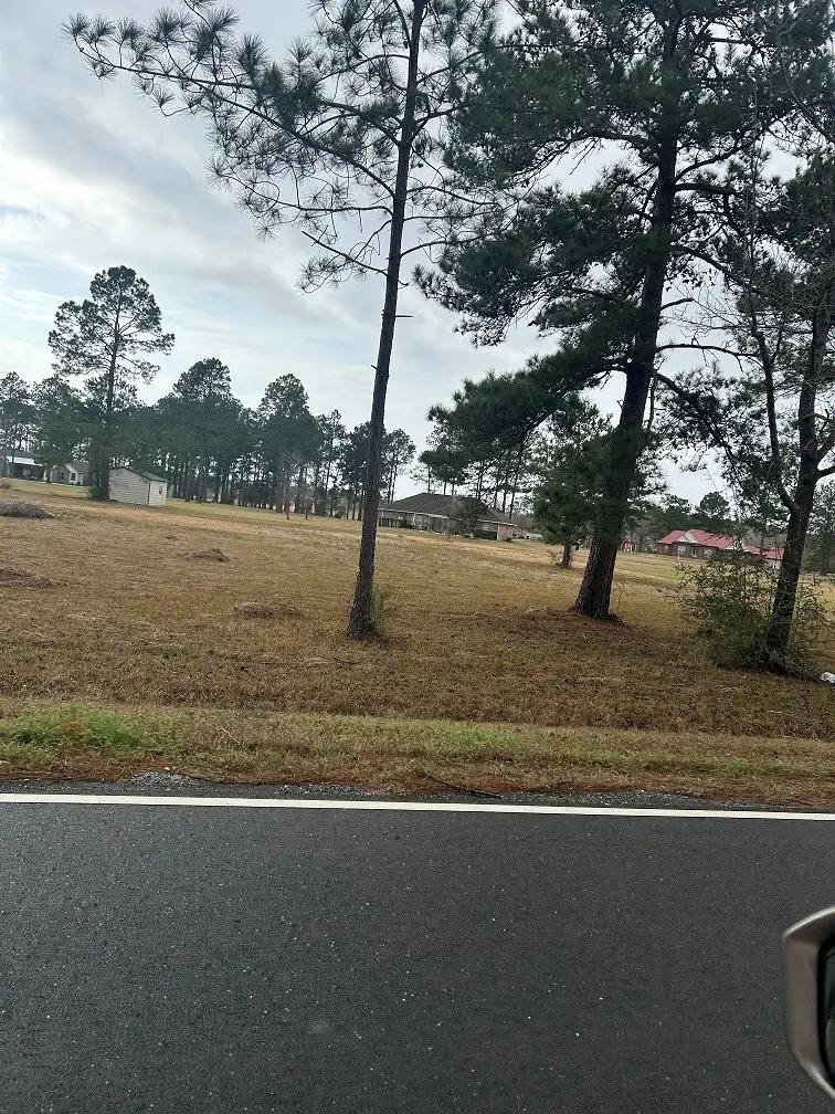 Lot 11 George Wise Rd, Carriere, MS 39426 - #2