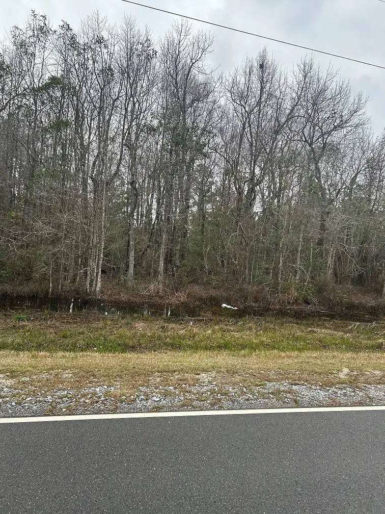 Lots 14&13 George Wise Rd, Carriere, MS 39426 - #1