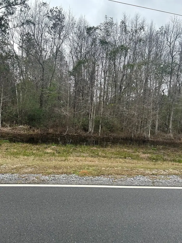 Lots 14&13 George Wise Rd, Carriere, MS 39426 - #2