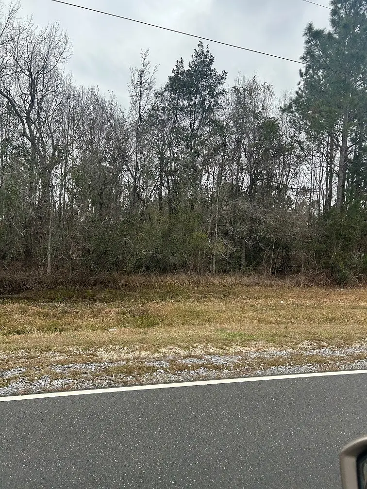 Lots 14&13 George Wise Rd, Carriere, MS 39426 - #3