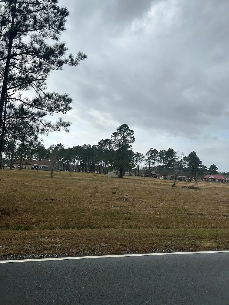 Lot 12 George Wise Rd, Carriere, MS 39426 - #1