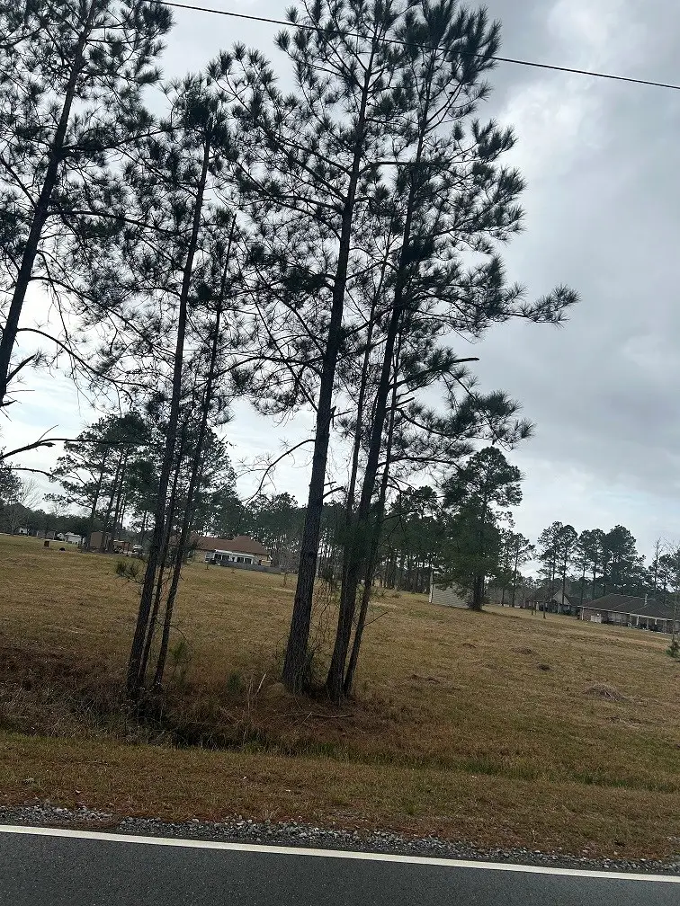 Lot 12 George Wise Rd, Carriere, MS 39426 - #2