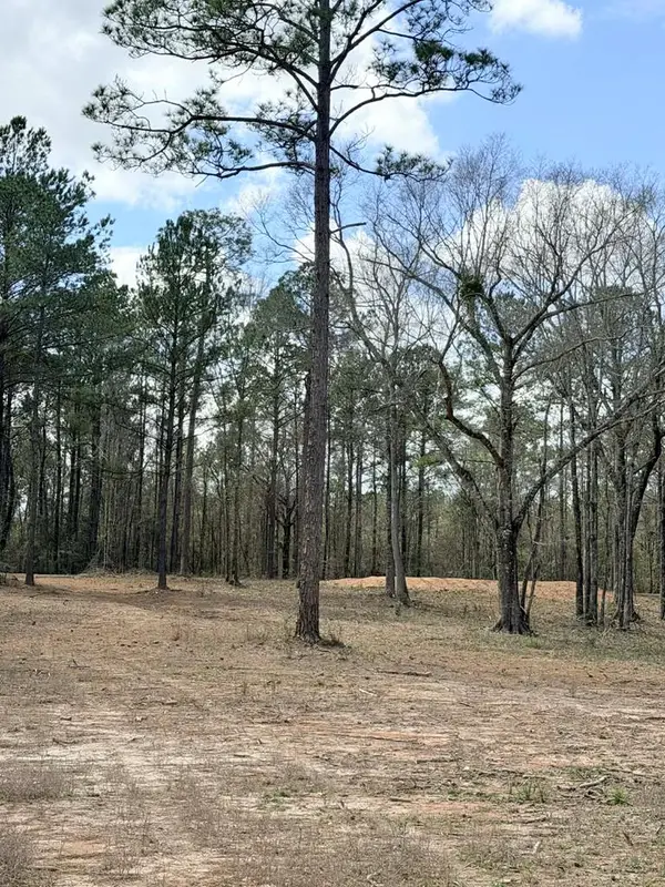 NHN Antler Ridge lot b, Poplarville, MS 39466