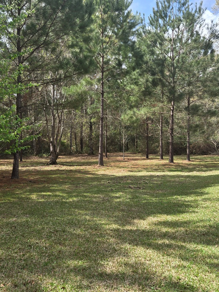 100 Horseshoe Lane, Carriere, MS 39426 - #2