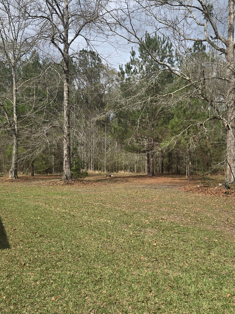 100 Horseshoe Lane, Carriere, MS 39426 - #3