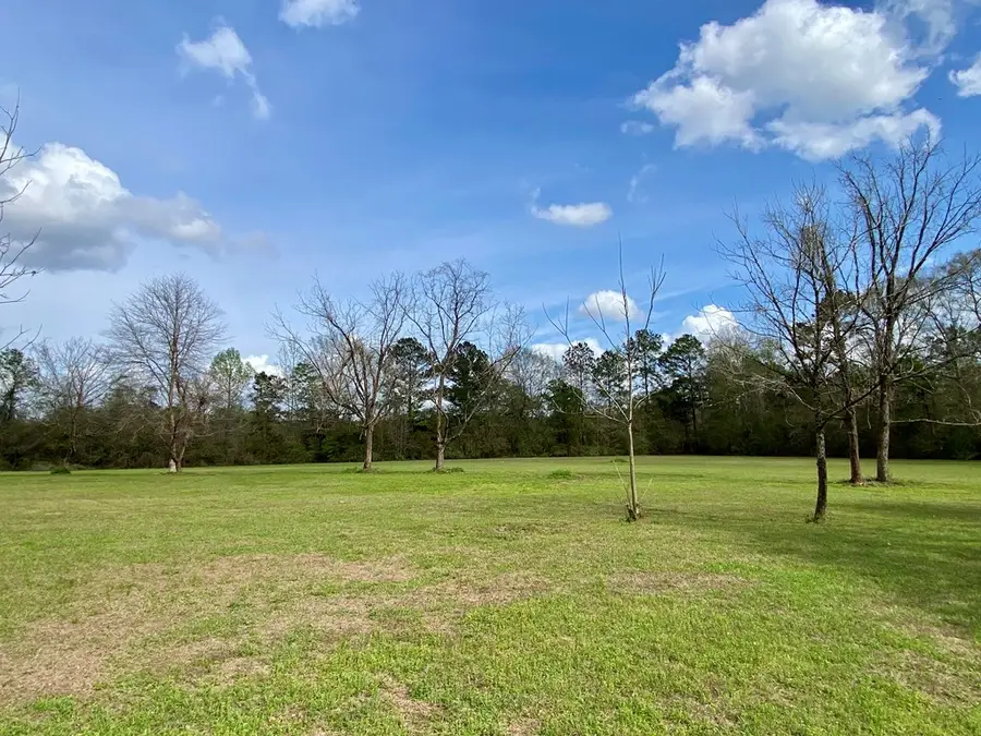 118 McNeil Henleyfield Road, Carriere, MS 39426 - #3