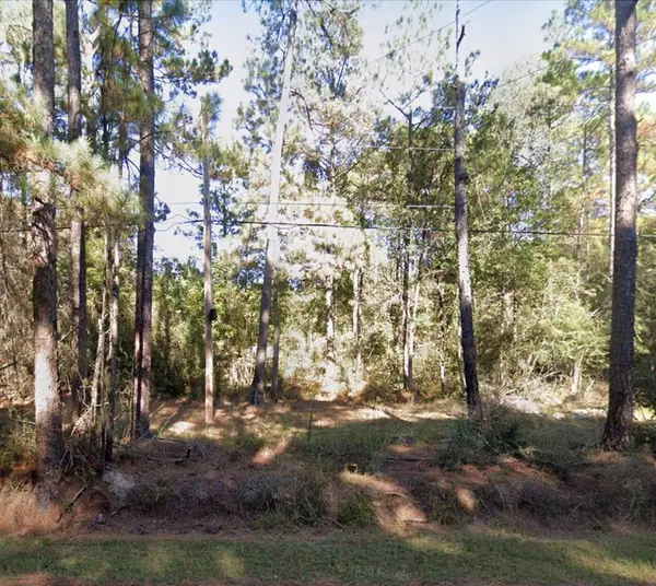 310 Pine Grove Rd, Picayune, MS 39466