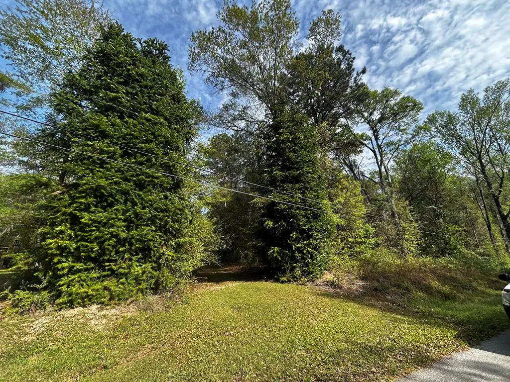 19 Bucaneer Cr, Carriere, MS 39426 - #1