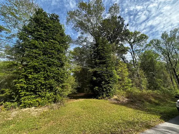 19 Bucaneer Cr, Carriere, MS 39426