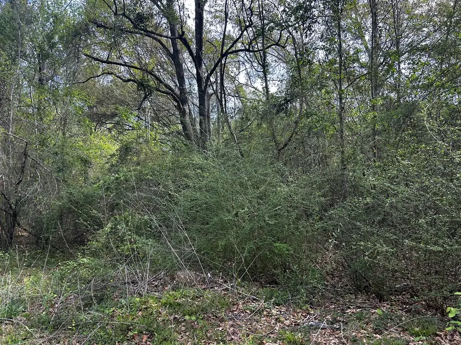 19 Bucaneer Cr, Carriere, MS 39426 - #3