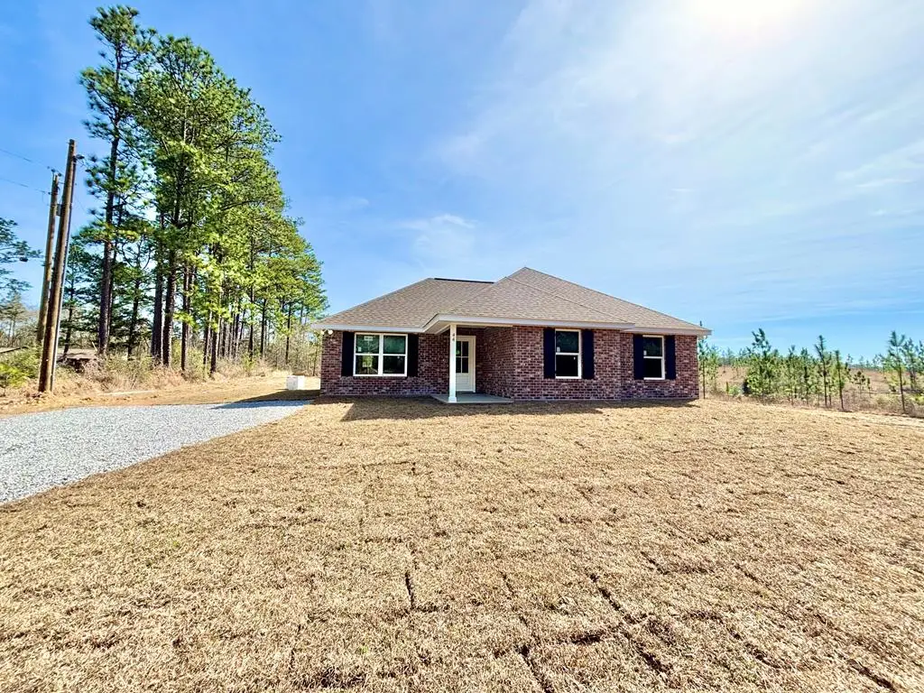 875 Old Hwy 11, Carriere, MS 39426 - #1