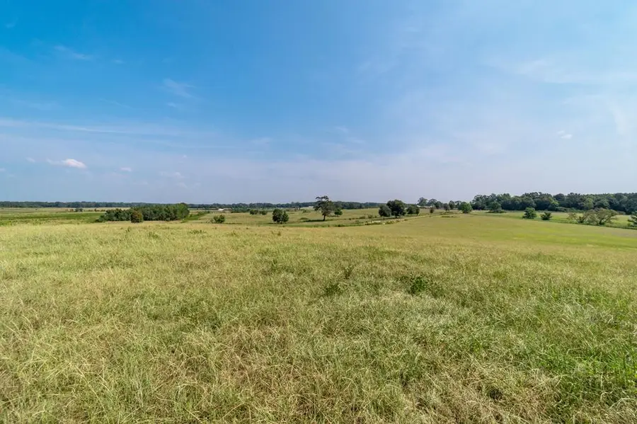 Lot 3 Grady Lewis Rd., Poplarville, MS 39470 - #2
