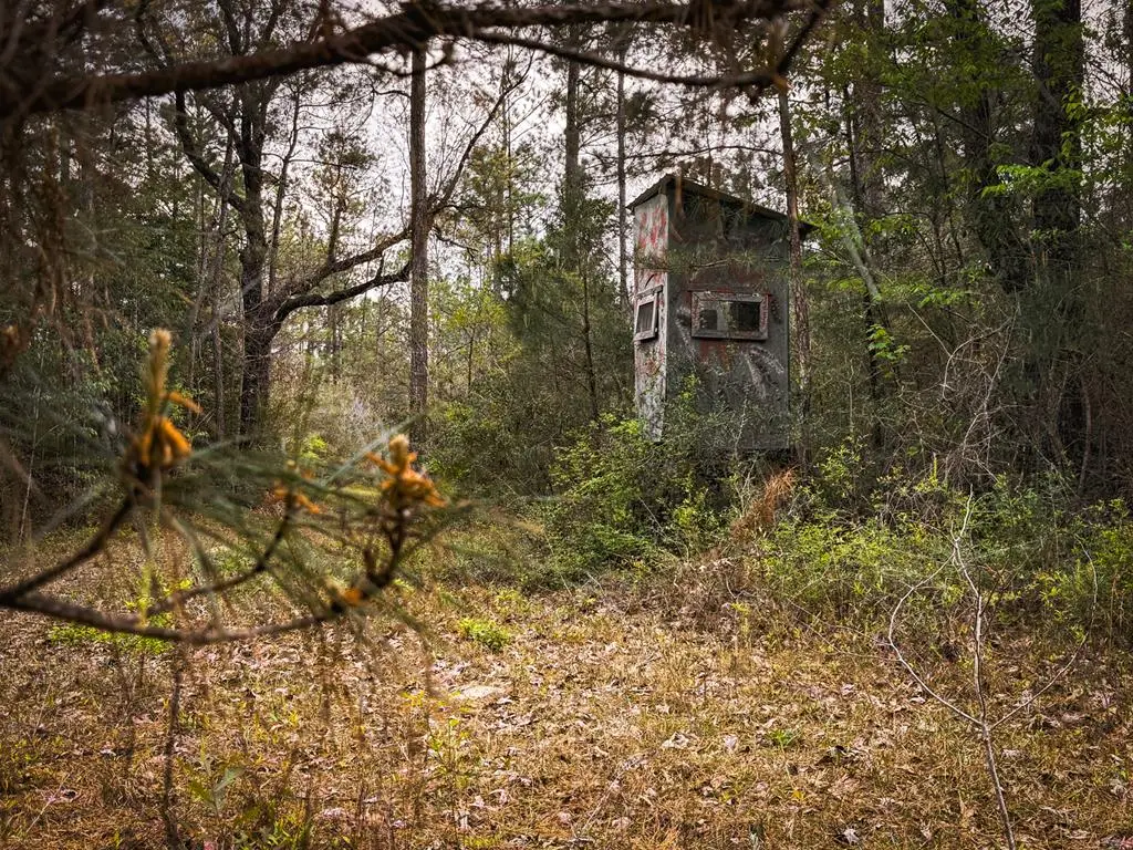 18.12 AC Smith & Peters Road, Poplarville, MS 39470 - #1