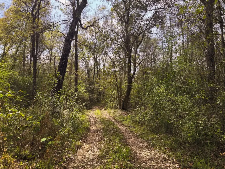 18.12 AC Smith & Peters Road, Poplarville, MS 39470 - #2