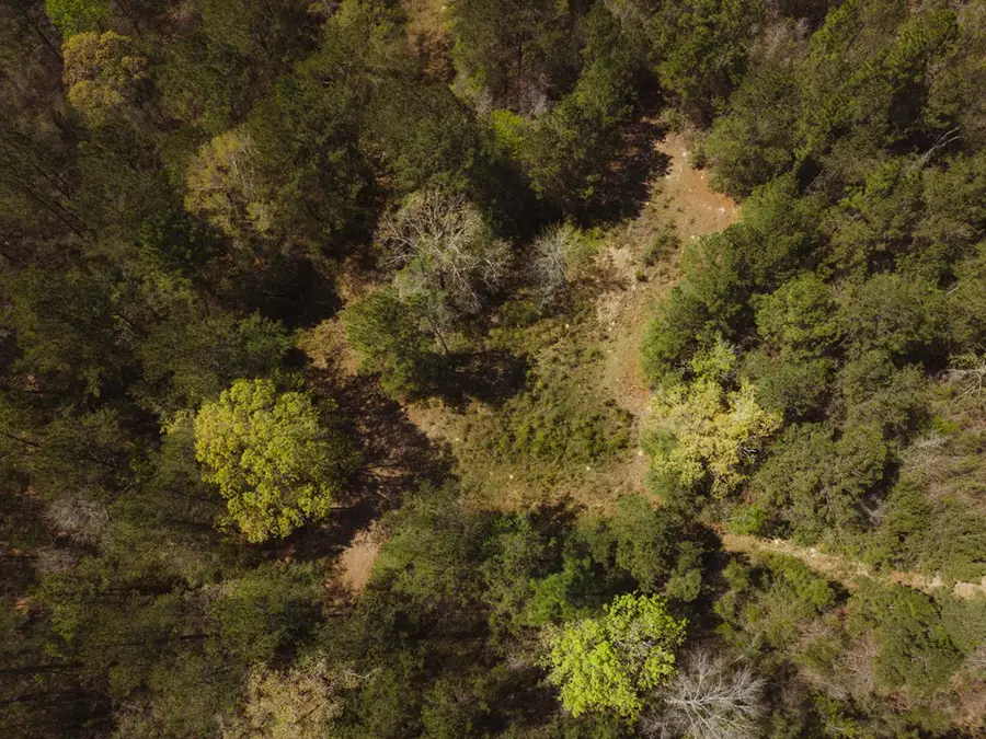 18.12 AC Smith & Peters Road, Poplarville, MS 39470 - #3