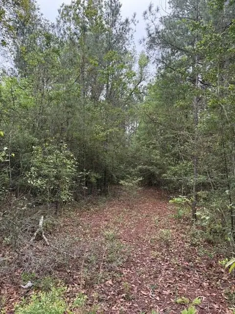 NHN Hwy 43 South, Picayune, MS 39466 - #3