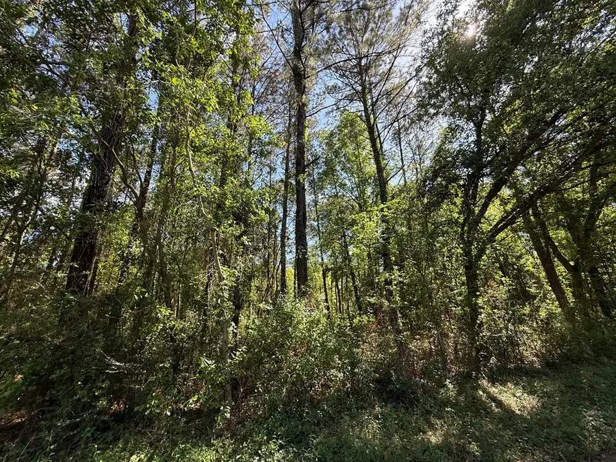 1301 Ausborn, Picayune, MS 39466 - #2