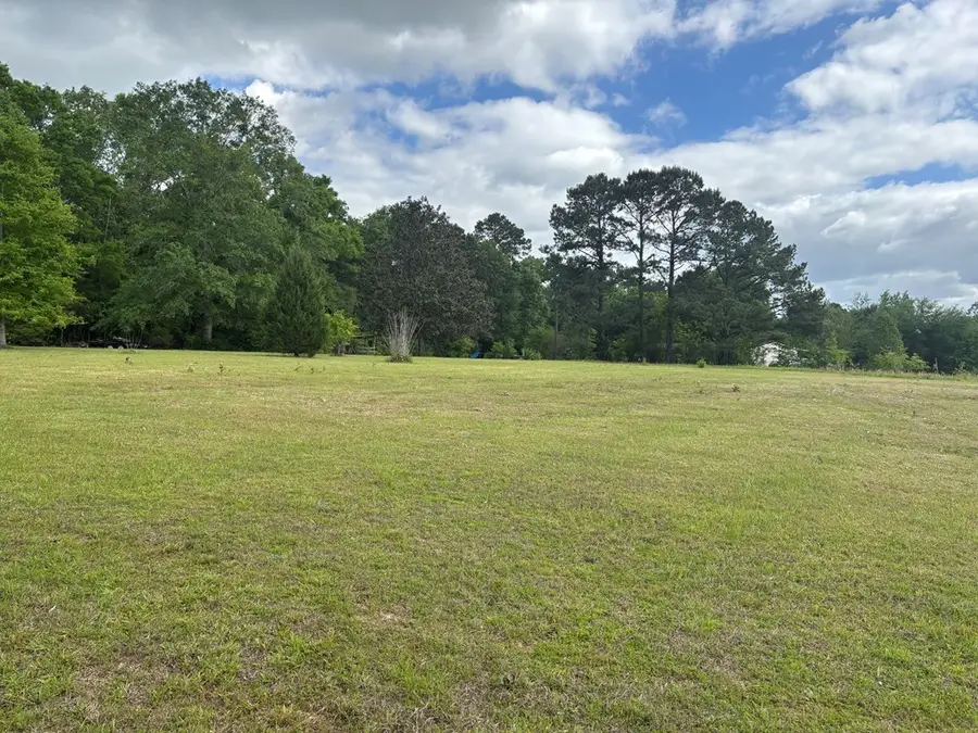 0 Rebel Hill Drive, Carriere, MS 39466 - #2