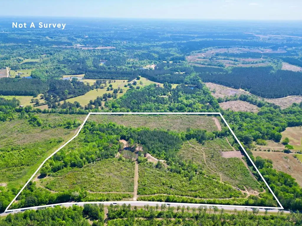 56.81 Hilt Fornea Rd, Poplarville, MS 39470 - #1