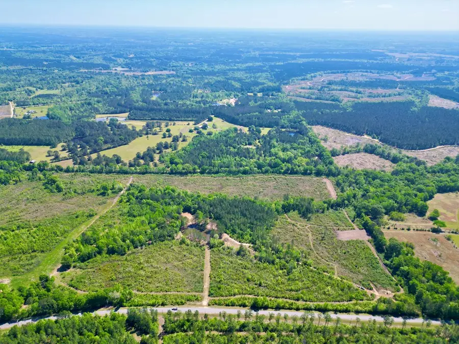 22.23 Hilt Fornea Rd, Poplarville, MS 39470 - #2