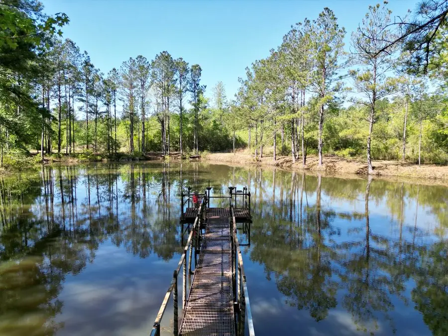 34.58 Hilt Fornea Rd, Poplarville, MS 39470 - #3