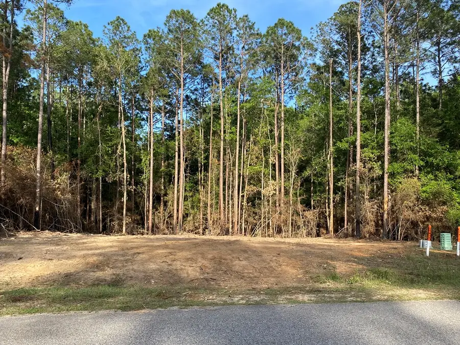 00 Lot 177 & 178 Sweet Birch Drive, Carriere, MS 39426 - #2