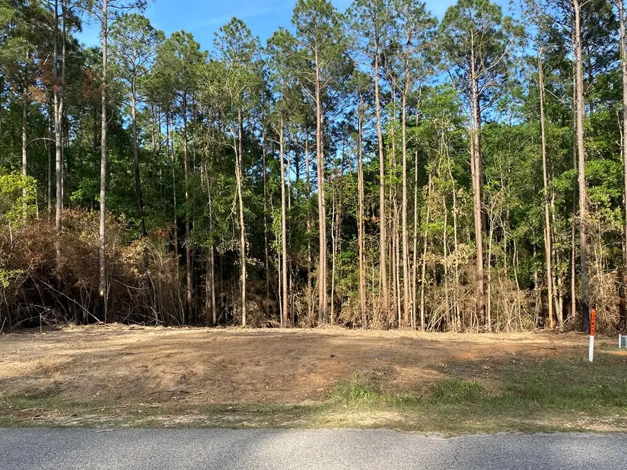 00 Lot 177 & 178 Sweet Birch Drive, Carriere, MS 39426 - #3