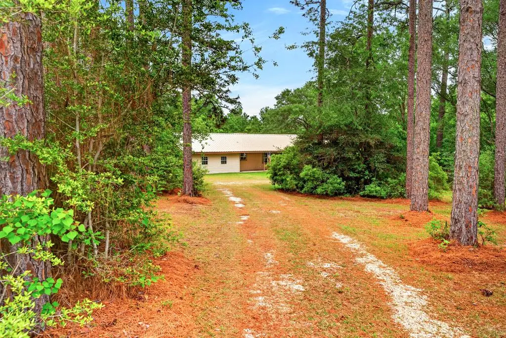 170 Horeshoe Lane, Carriere, MS 39426 - #1