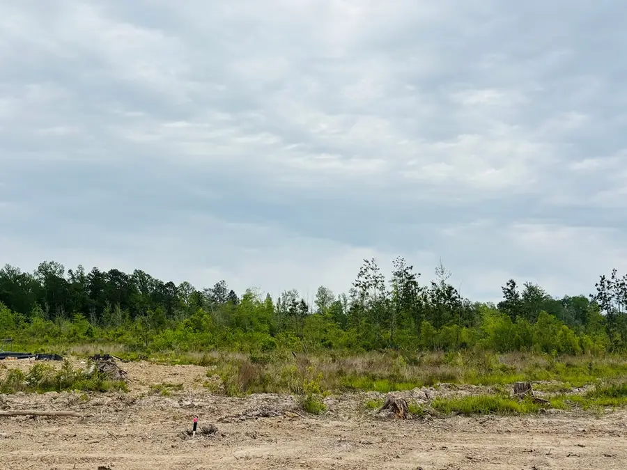 434 Monroe Breeland Rd., Poplarville, MS 39470 - #2