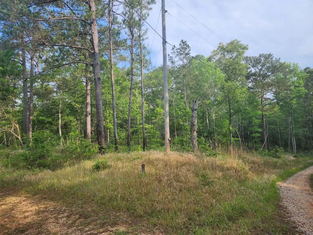 000 Fir Street, Poplarville, MS 39470 - #1