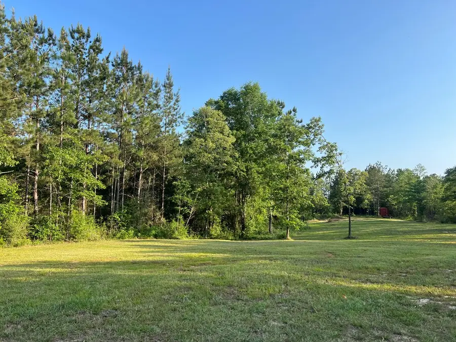 118 Robert Rhodes Rd, Poplarville, MS 39470 - #3