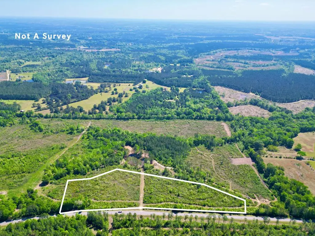 9.34 Hilt fornea Rd, Poplarville, MS 39470 - #1