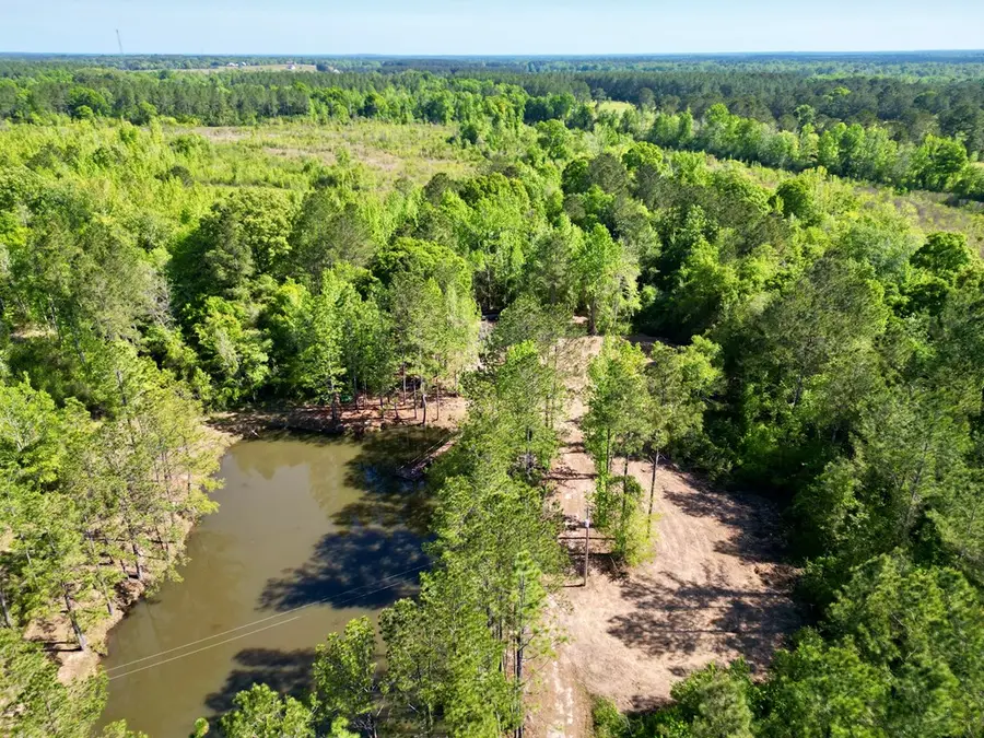 26.54 Hilt Fornea Rd, Poplarville, MS 39470 - #2