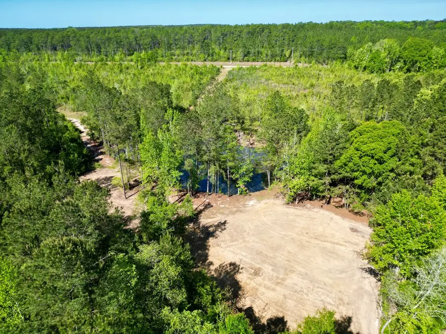 26.54 Hilt Fornea Rd, Poplarville, MS 39470 - #3