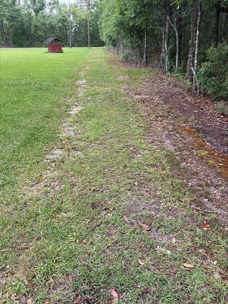 33 Robert Rd, Picayune, MS 39466 - #2