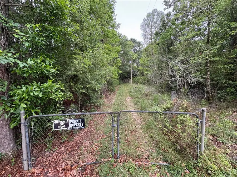 33 Robert Rd, Picayune, MS 39466 - #3