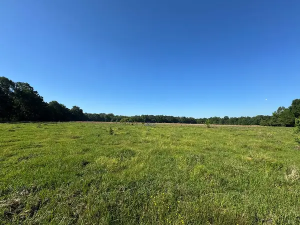 260 N Mitchel Chappel, Poplarville, MS 39470