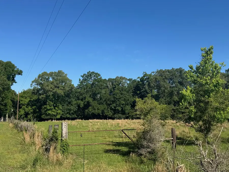 260 N Mitchel Chappel, Poplarville, MS 39470 - #2