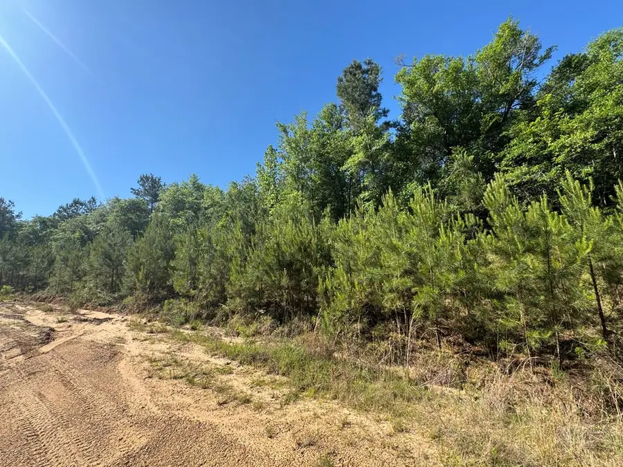 NHN Hwy 43, Poplarville, MS 39470 - #3