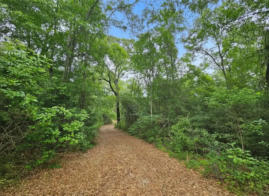 222 Lavelle Odom Rd, Poplarville, MS 39470 - #2