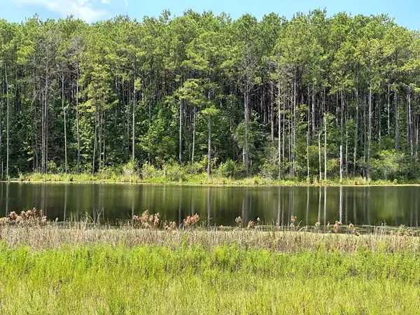 186 New Arbor Road W, Poplarville, MS 39470