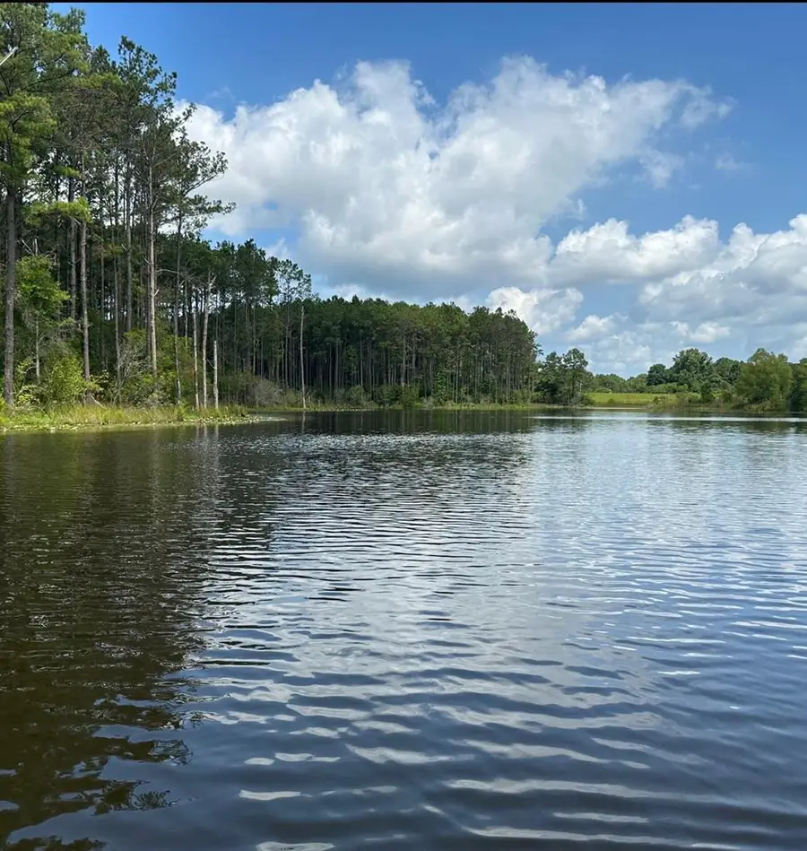 186 New Arbor Road W, Poplarville, MS 39470 - #2